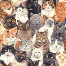 Crowded Cats 80680 